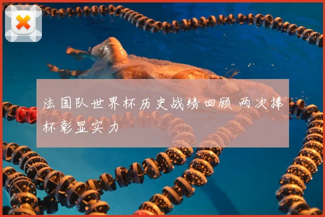 法国队世界杯历史战绩回顾 两次捧杯彰显实力