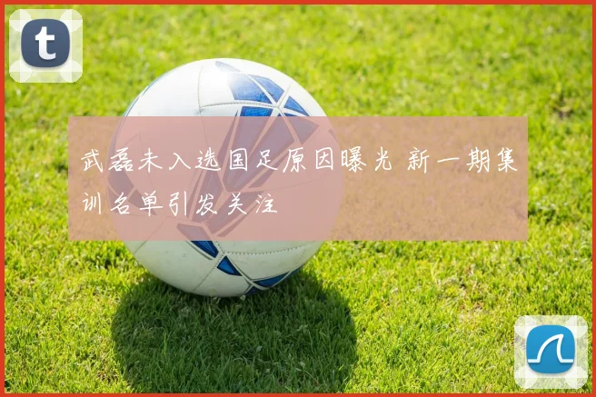 武磊未入选国足原因曝光 新一期集训名单引发关注