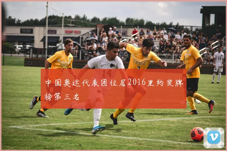 中国奥运代表团位居2016里约奖牌榜第三名