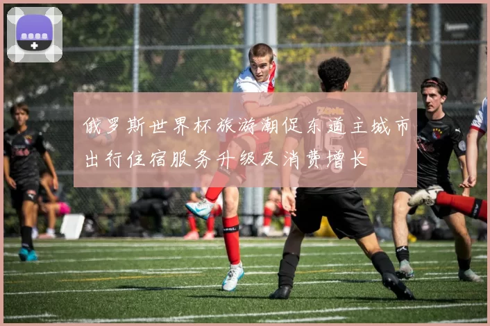 俄罗斯世界杯旅游潮促东道主城市出行住宿服务升级及消费增长