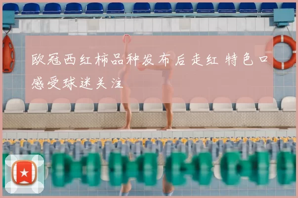 欧冠西红柿品种发布后走红 特色口感受球迷关注