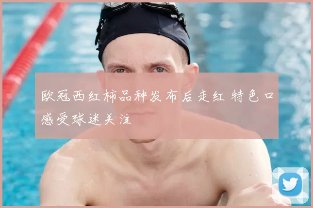 欧冠西红柿品种发布后走红 特色口感受球迷关注