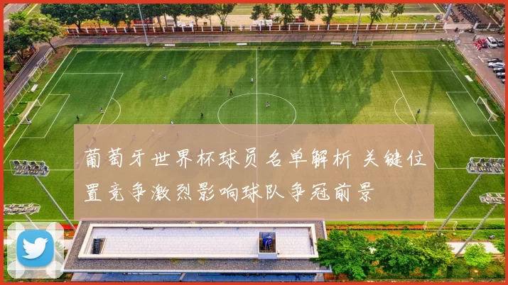 葡萄牙世界杯球员名单解析 关键位置竞争激烈影响球队争冠前景