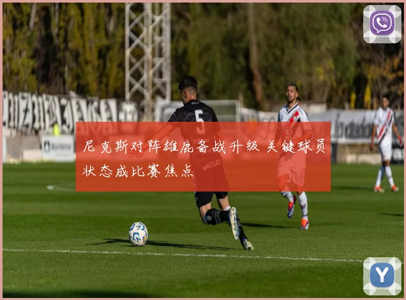 尼克斯对阵雄鹿备战升级 关键球员状态成比赛焦点